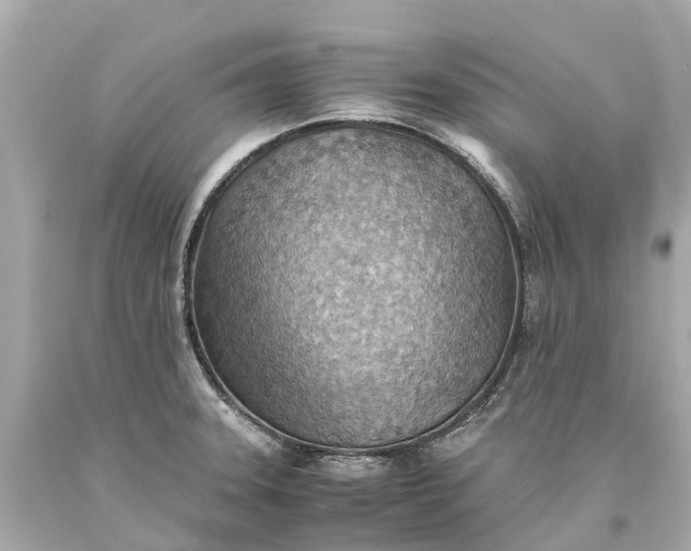 X0000093591331200710291114