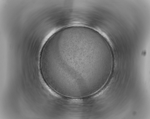 X0000093591333200710291114