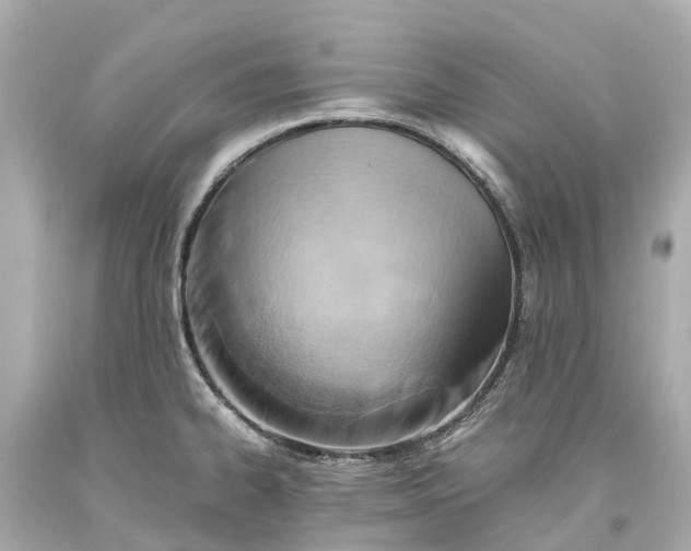 X0000093591334200710291114