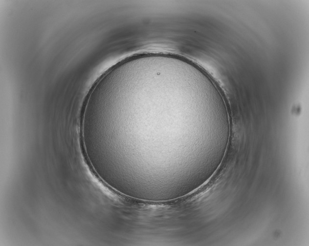 X0000093591335200710291114