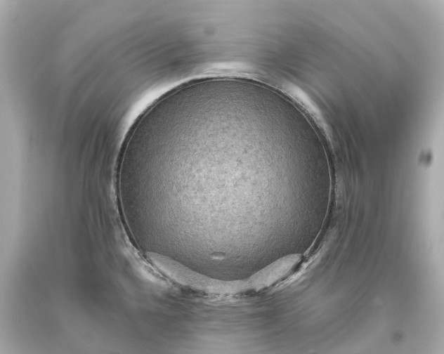 X0000093591336200710291114