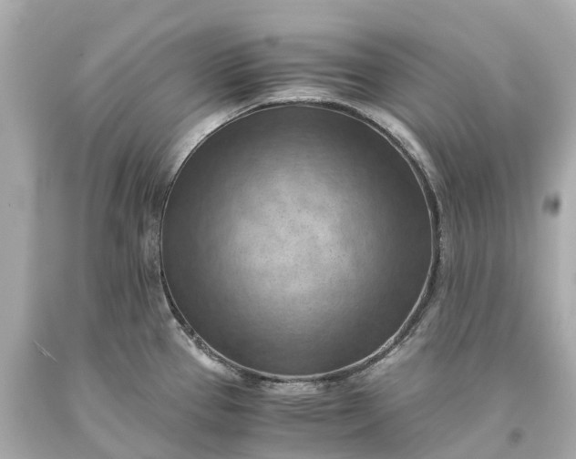 X0000093591337200710291114