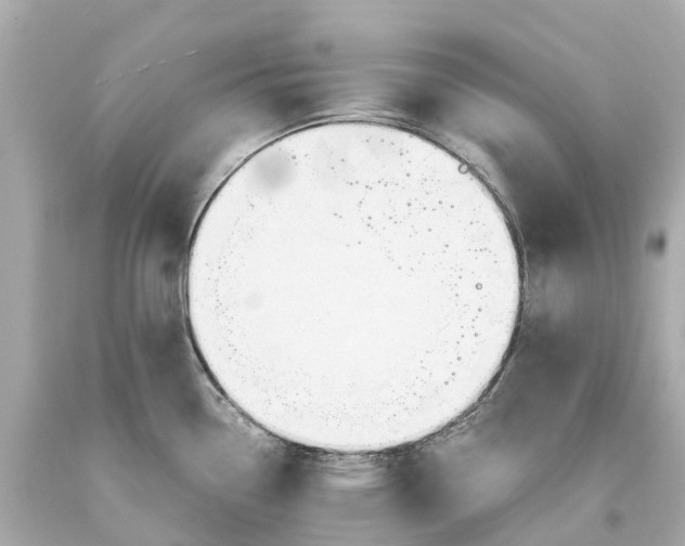 X0000093591338200710291114