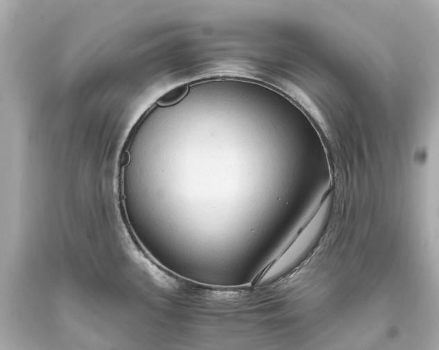X0000093591339200710291114