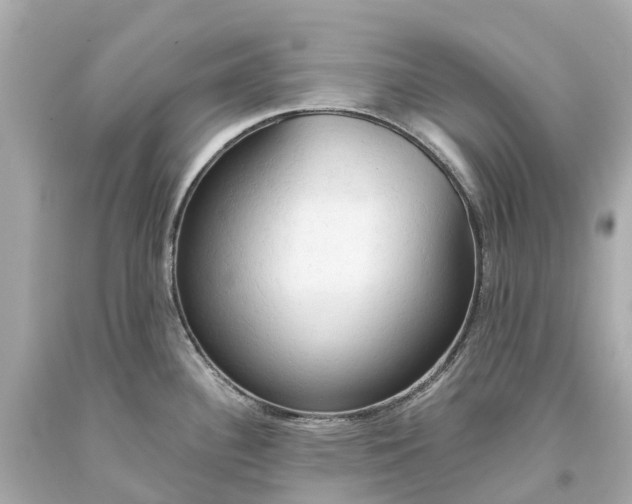 X0000093591340200710291114