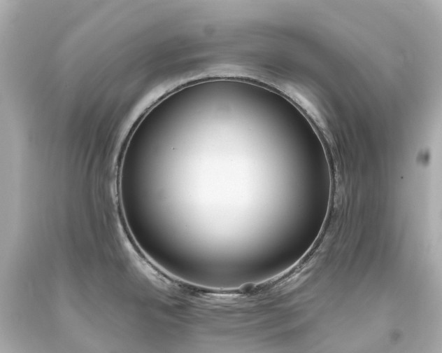 X0000093591342200710291114