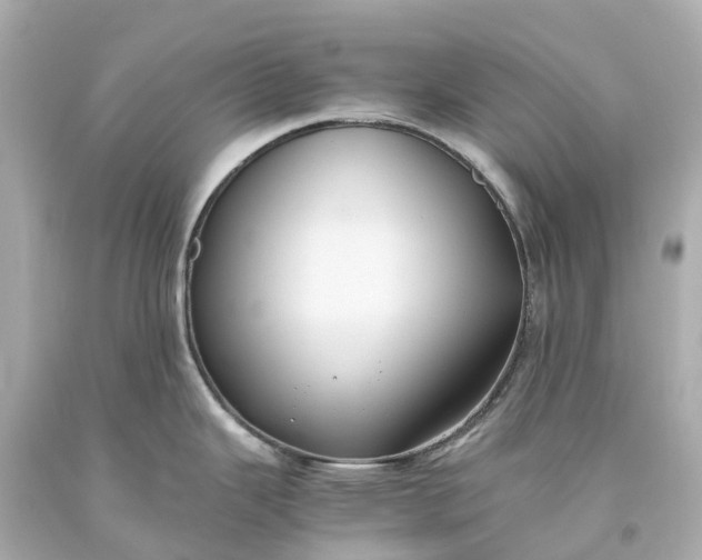 X0000093591343200710291114