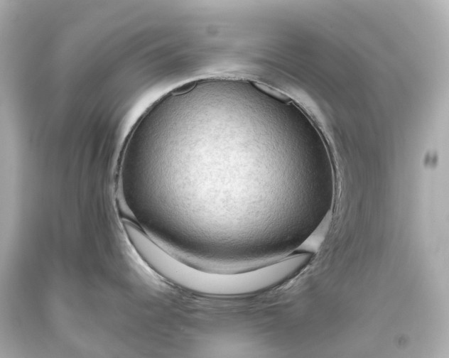 X0000093591344200710291114