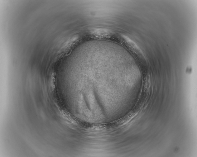 X0000093591346200710291113