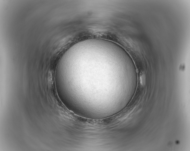 X0000093591347200710291113