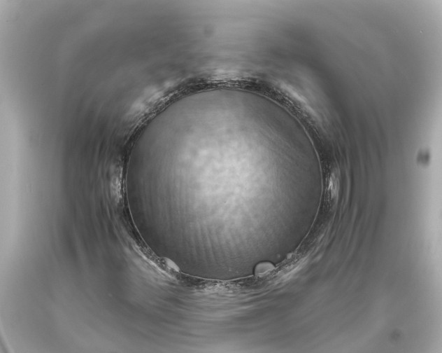 X0000093591348200710291113
