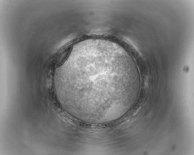 X0000093591350200710291113