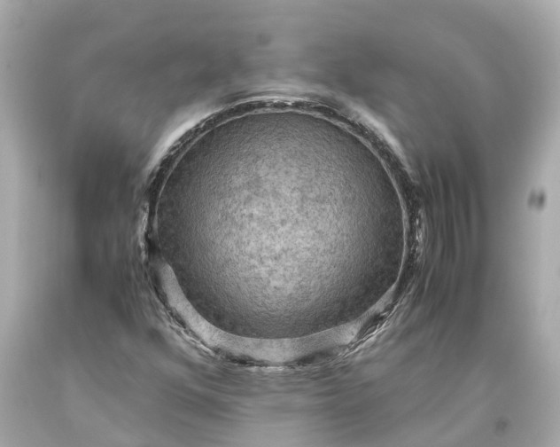 X0000093591352200710291113