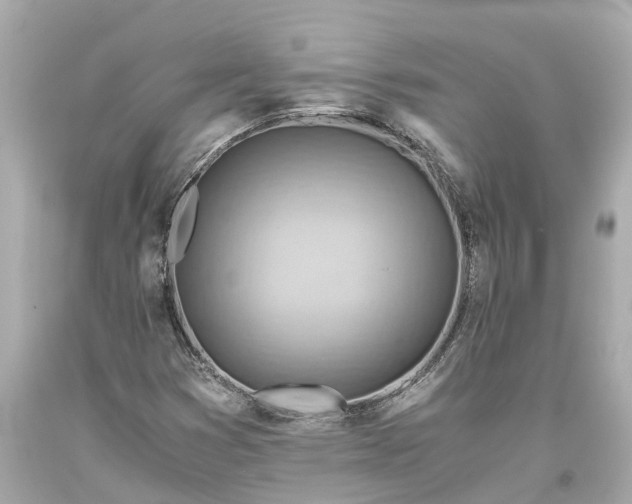 X0000093591353200710291113