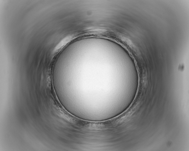 X0000093591354200710291113