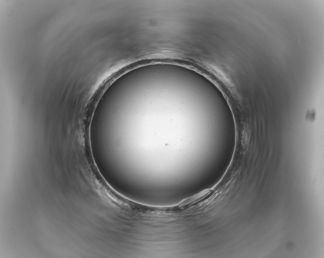 X0000093591356200710291113