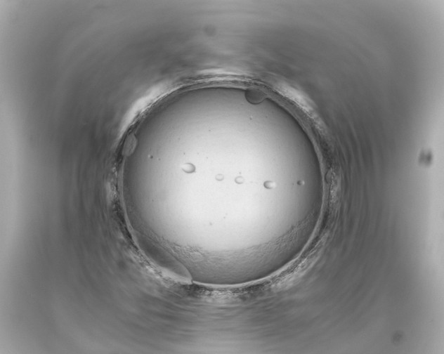 X0000093591357200710291113