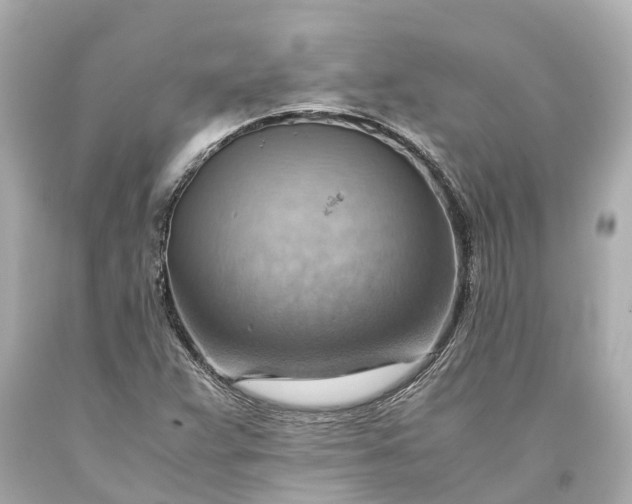 X0000093591359200710291113