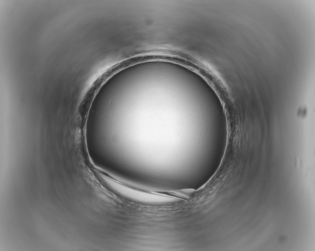 X0000093591360200710291113