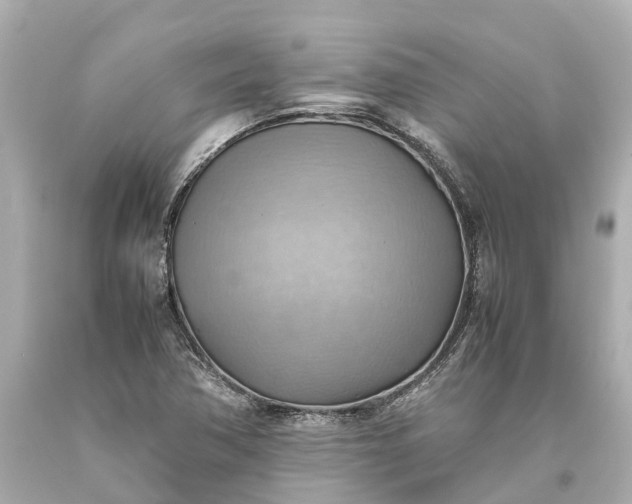 X0000093591362200710291113