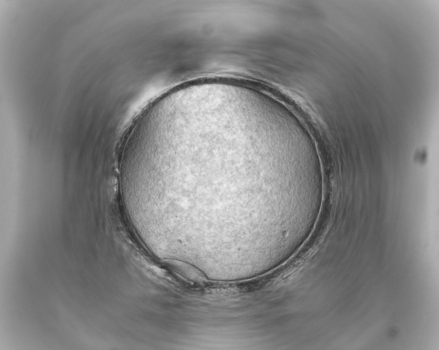 X0000093591363200710291113