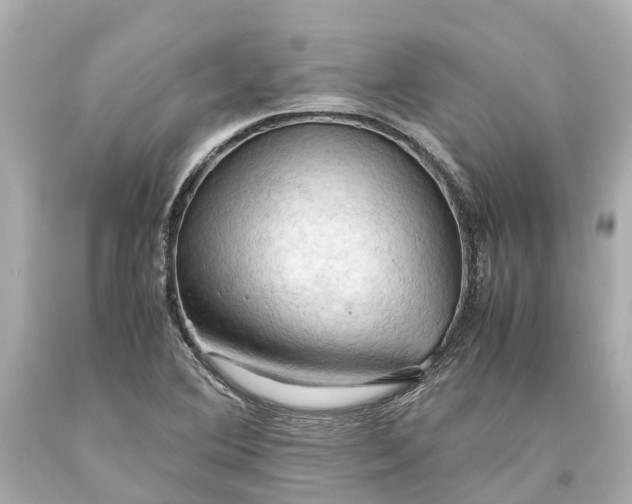 X0000093591364200710291113