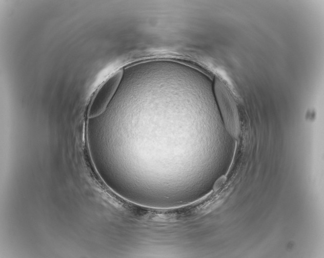 X0000093591365200710291113