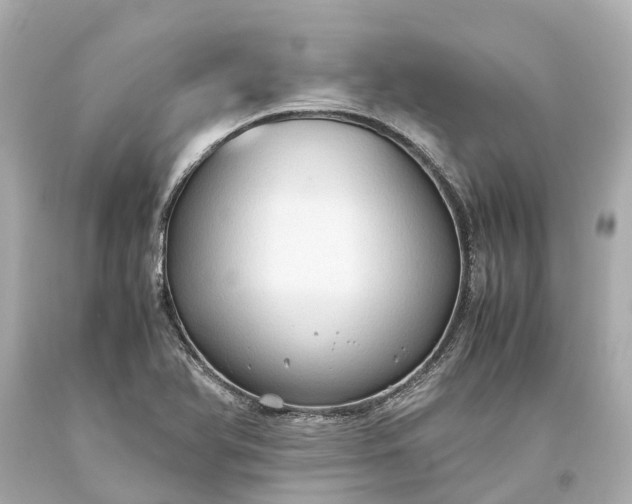 X0000093591366200710291113