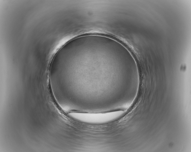 X0000093591367200710291113