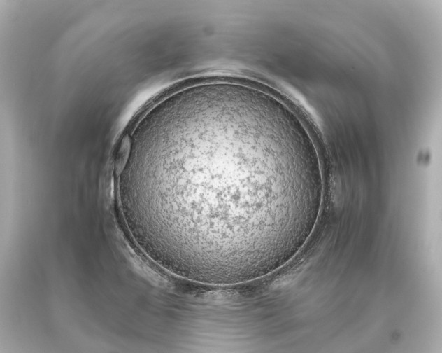 X0000093591368200710291113