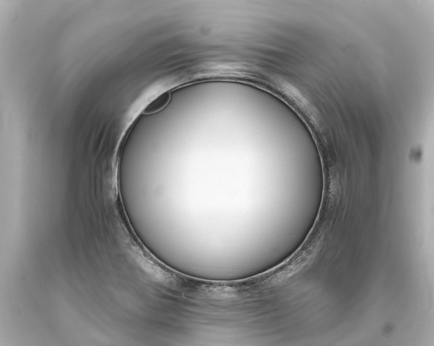 X0000093591370200710291113