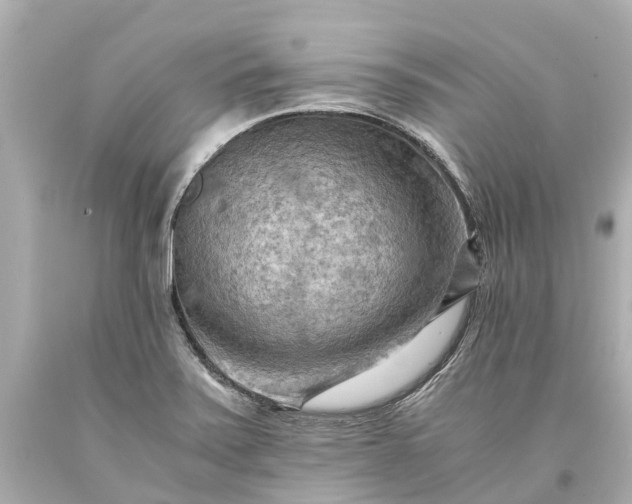 X0000093591371200710291113