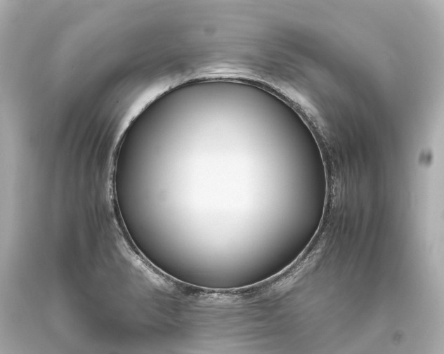 X0000093591374200710291113