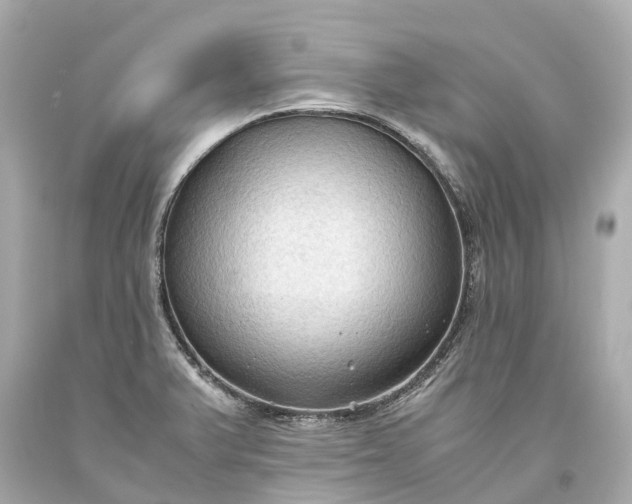 X0000093591375200710291113