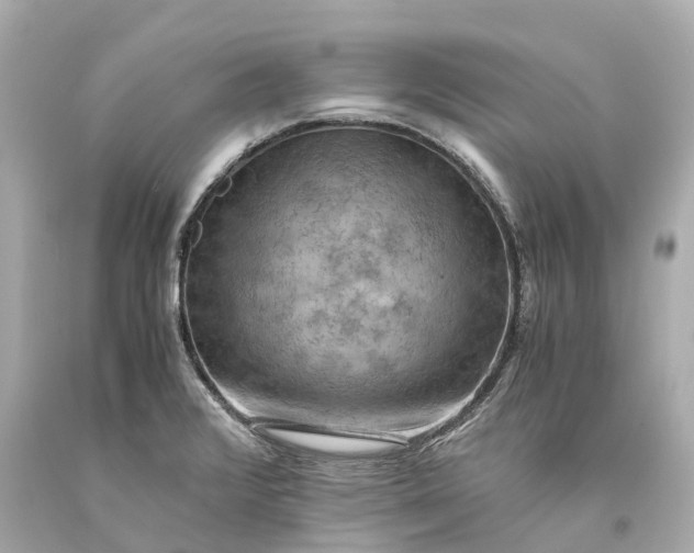 X0000093591376200710291113