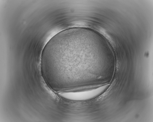 X0000093591378200710291113