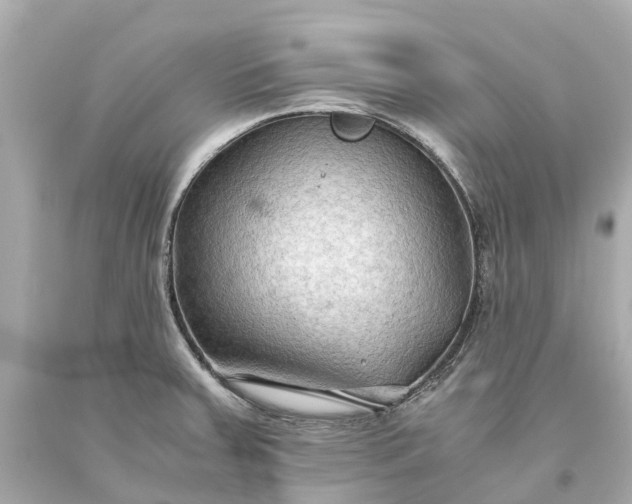 X0000093591379200710291113