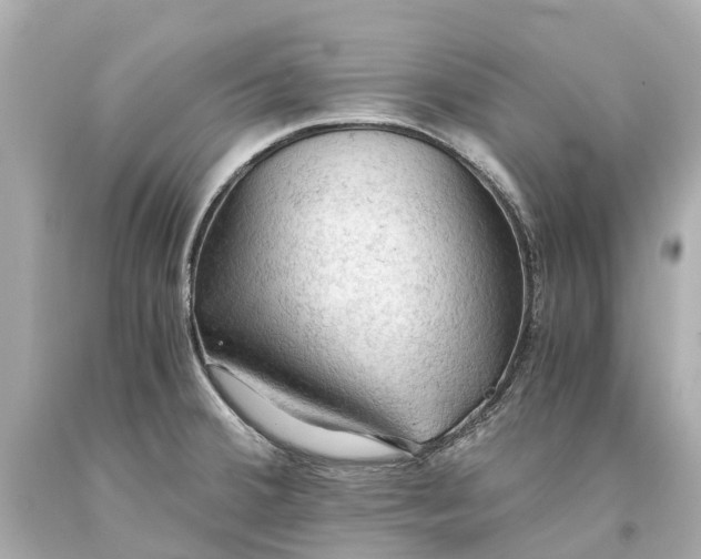 X0000093591380200710291113