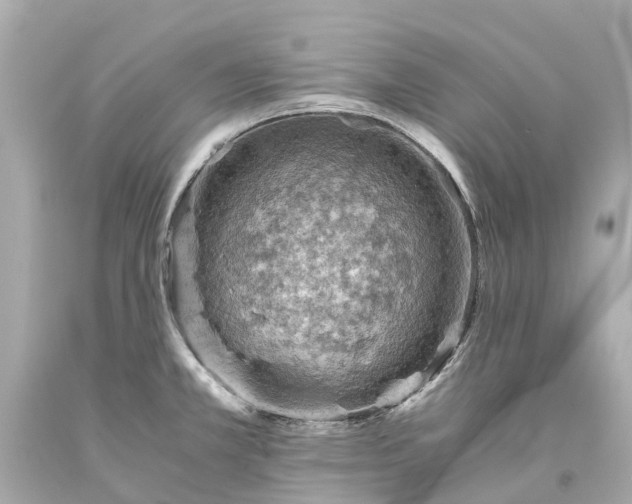 X0000093591381200710291113