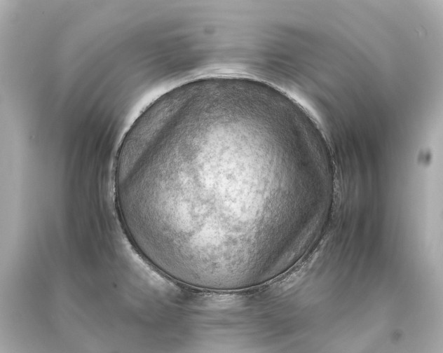 X0000093591382200710291113