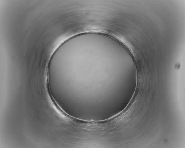X0000093591383200710291113