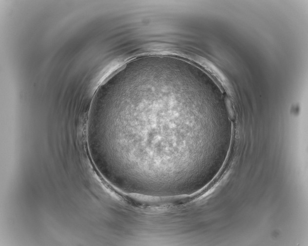 X0000093591385200710291113