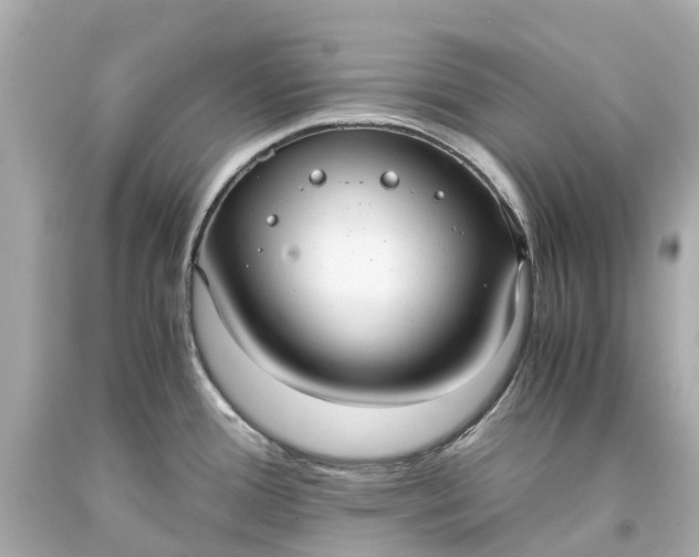 X0000093591388200710291113