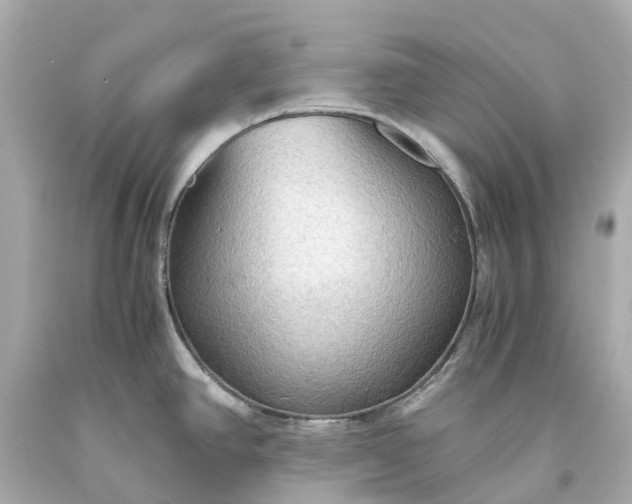X0000093591390200710291113