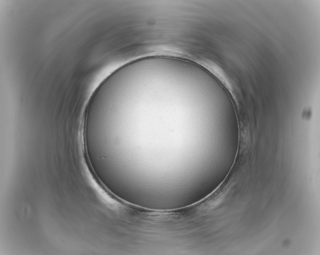 X0000093591391200710291113