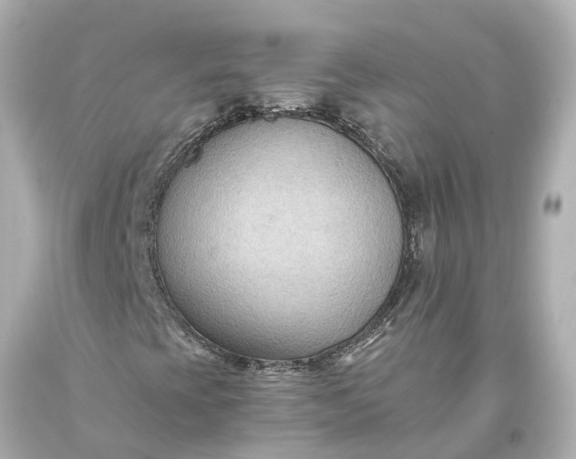 X0000093591393200710291112