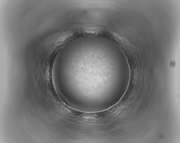 X0000093591394200710291112