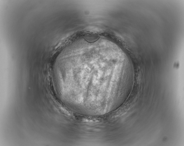 X0000093591397200710291112