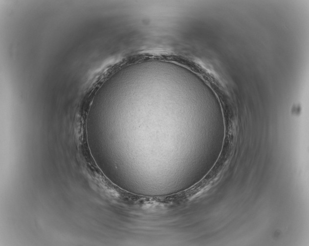 X0000093591398200710291112