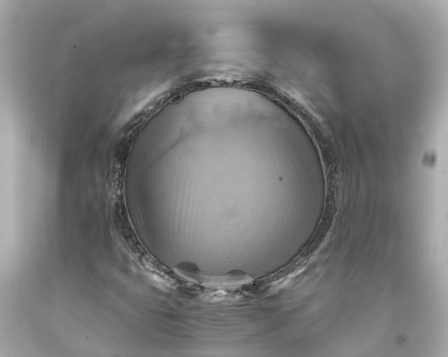 X0000093591399200710291112